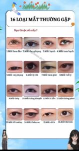 cách chọn bảng màu mắt cơ bản