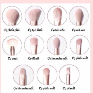 cách dùng cọ trang điểm