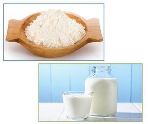 dưỡng trắng bằng sữa tươi