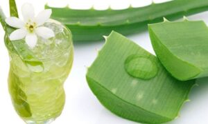 làm đẹp bằng nha đam