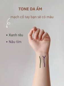 phối tone nóng và lạnh sao cho hài hòa