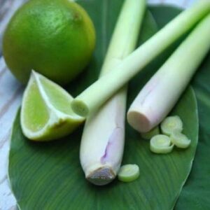 xông mặt bằng sả chanh