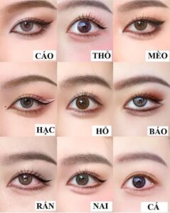 cách makeup không cần filter 