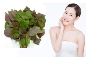 làm đẹp bằng lá tía tô