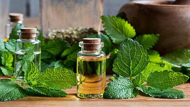 làm đẹp bằng lá tía tô