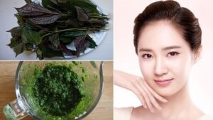 làm đẹp bằng lá tía tô