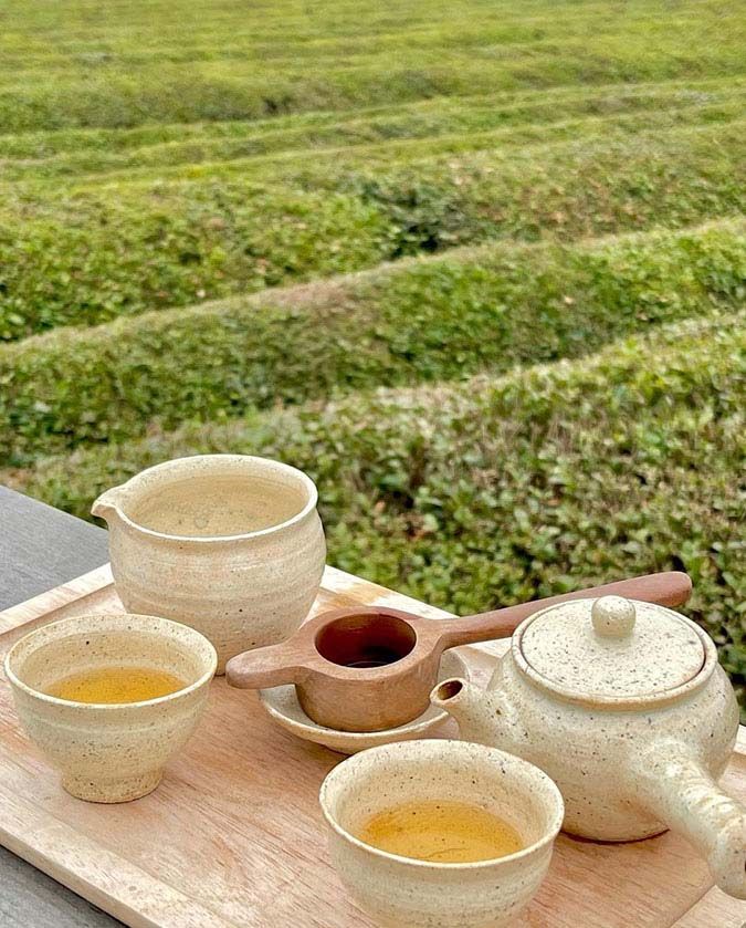 làm đẹp bằng lá trà xanh