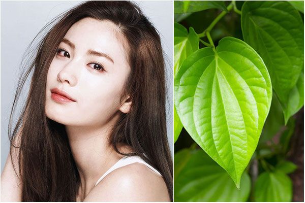 làm đẹp bằng trầu không