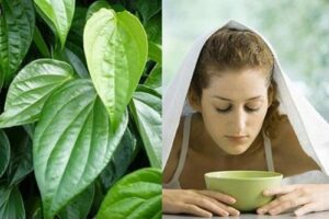 làm đẹp bằng trầu không