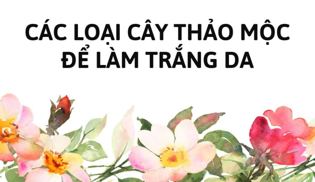 Tắm trắng bằng thảo mộc