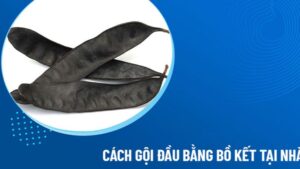 chăm sóc tóc bằng bồ kết