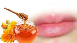 dưỡng môi bằng mật ong