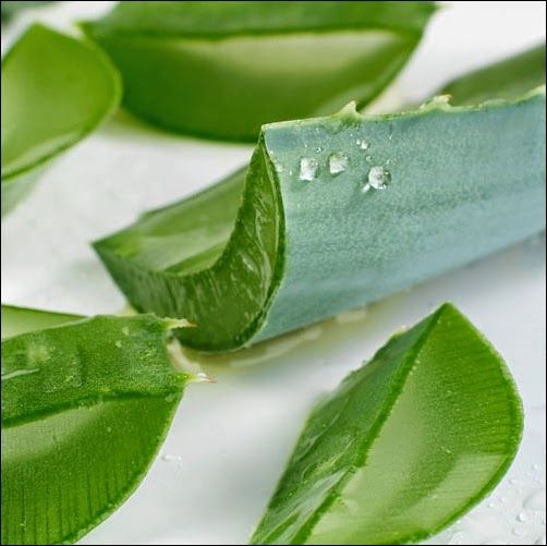 làm đẹp bằng nha đam