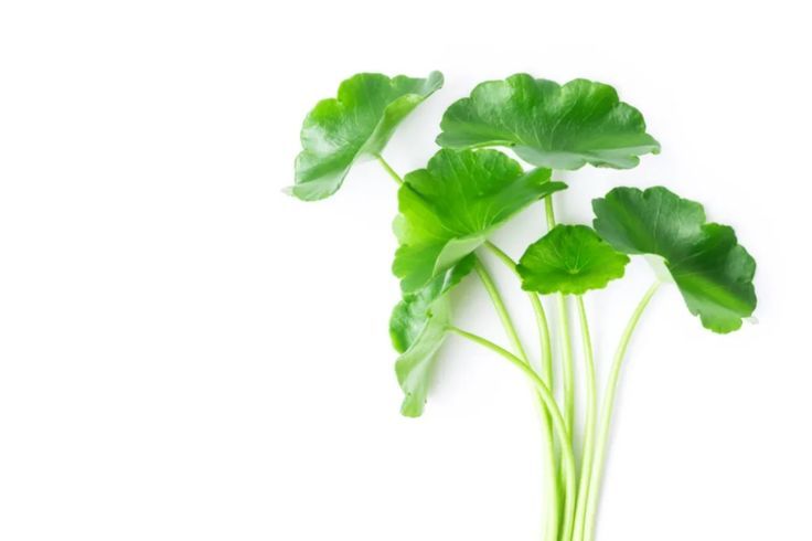 làm đẹp bằng rau má