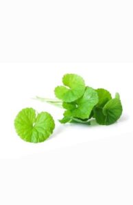 làm đẹp bằng rau má