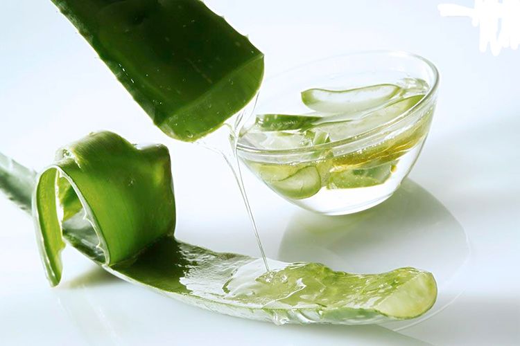làm đẹp từ nha đam