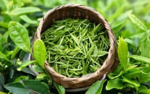 rửa mặt bằng trà xanh
