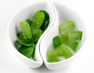dưỡng da bằng nha đam