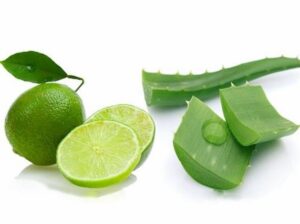 dưỡng da bằng nha đam