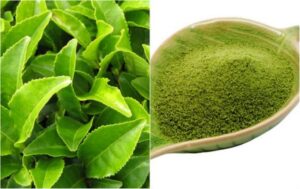 dưỡng da với trà xanh