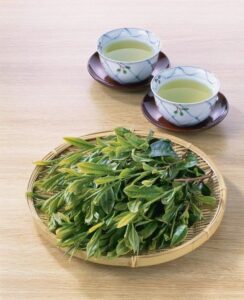 làm đẹp da bằng trà xanh