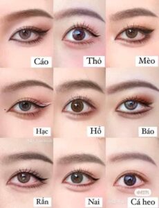 makeup giá rẻ cho người mới