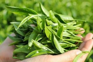 thải độc da tự nhiên